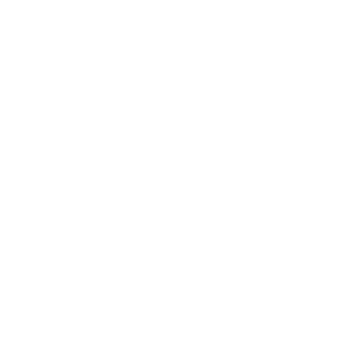 ICON-career_hvit-ORG