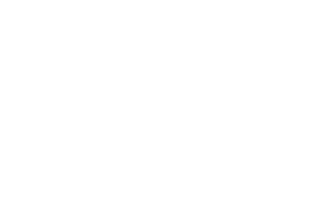 ICON-arealplanlegging_hvit-ORG