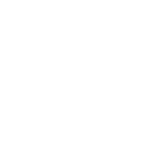 ICON-landskap_hvit-ORG