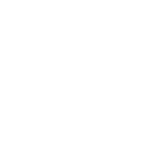ICON-samferdsel_hvit-ORG